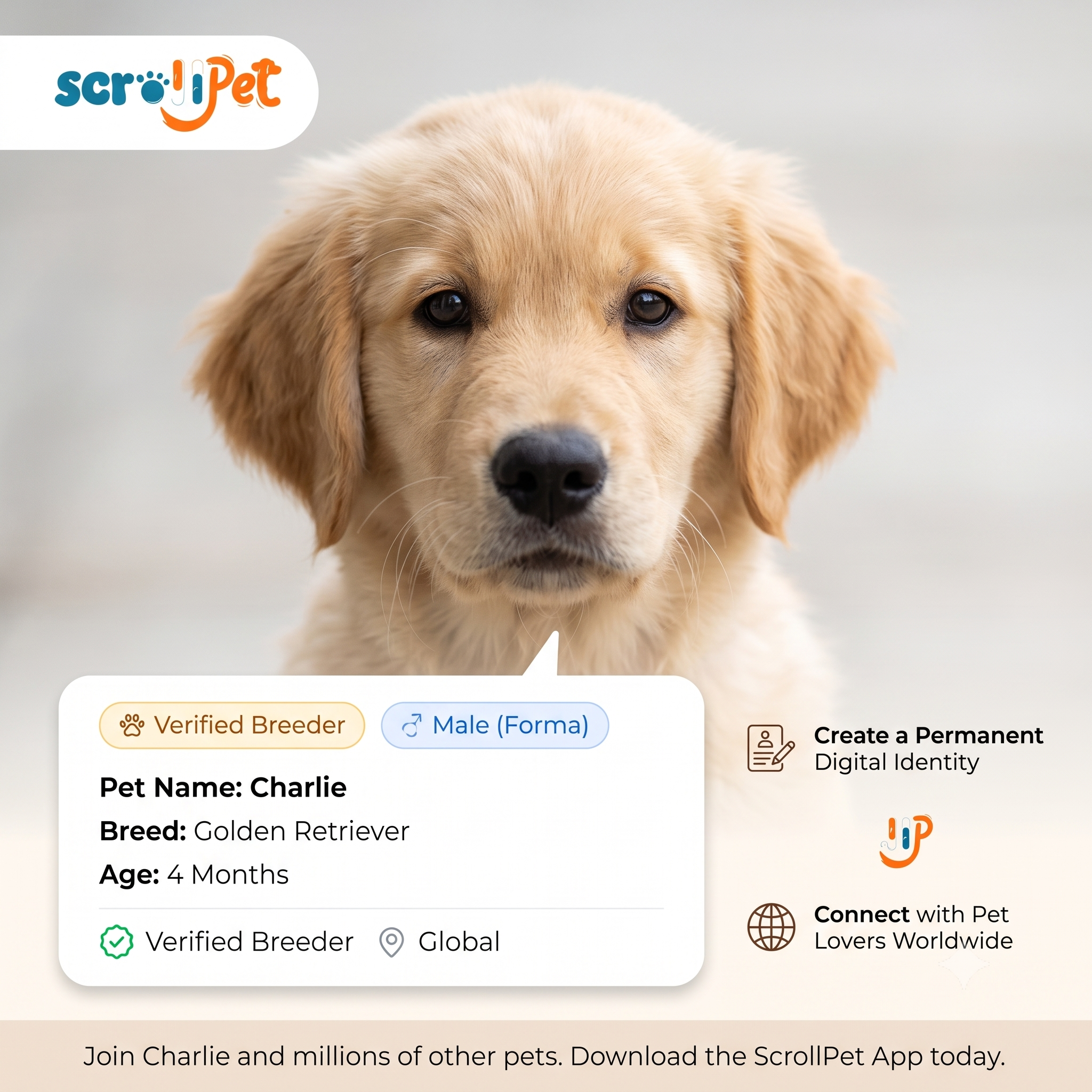 ScrollPet - Image 4